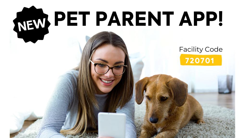 The Pawsh Dog Pet Parent App