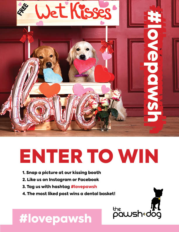 The Pawsh Dog daycare